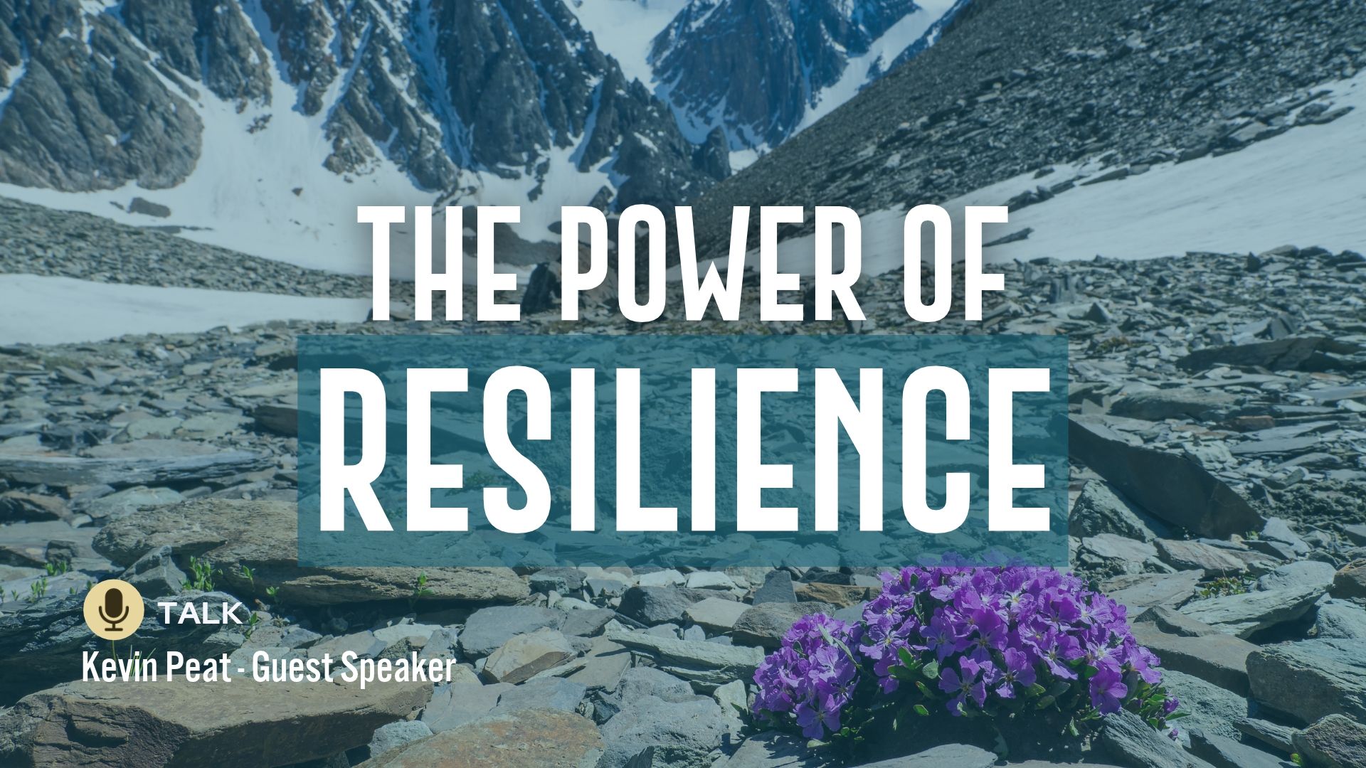 The Power of Resilience
